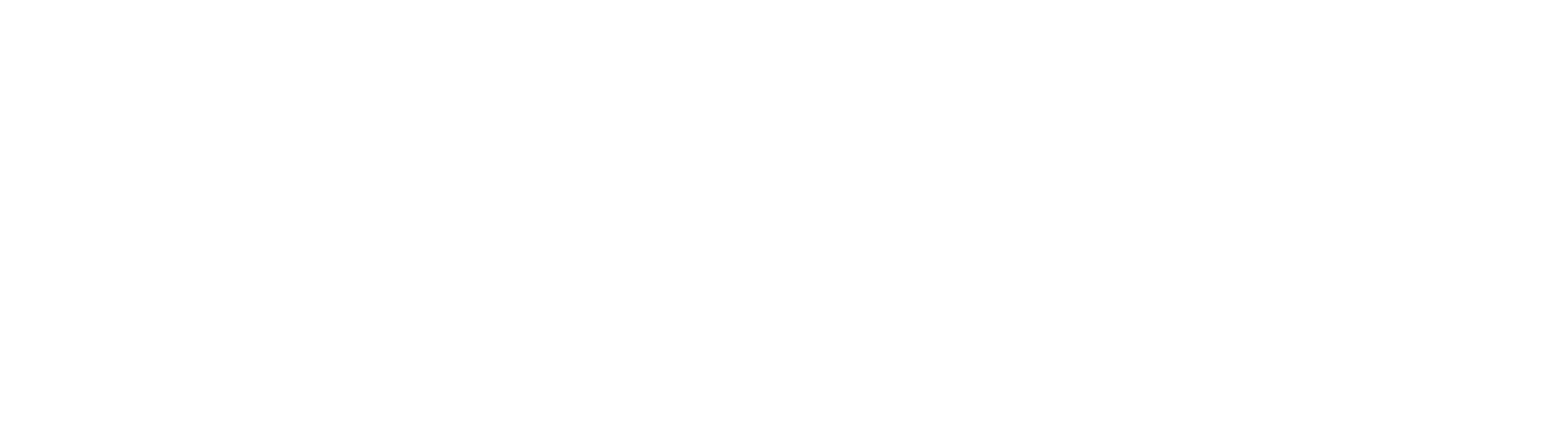 Jack Wolfskin Logo